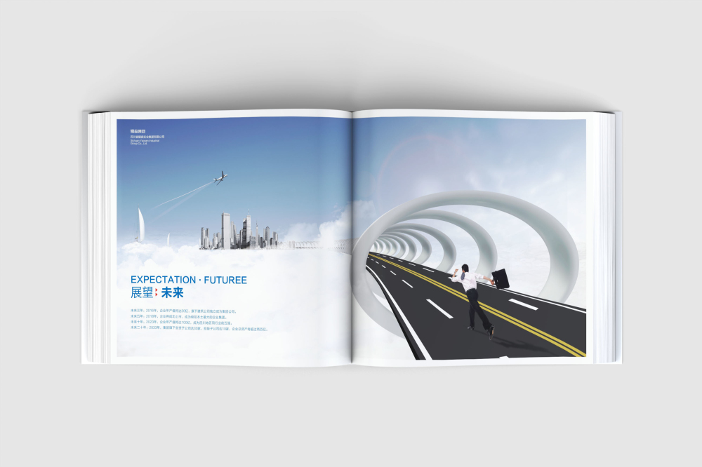 信宜市画册设计